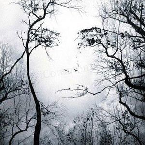 Meet your Posher, Aracely